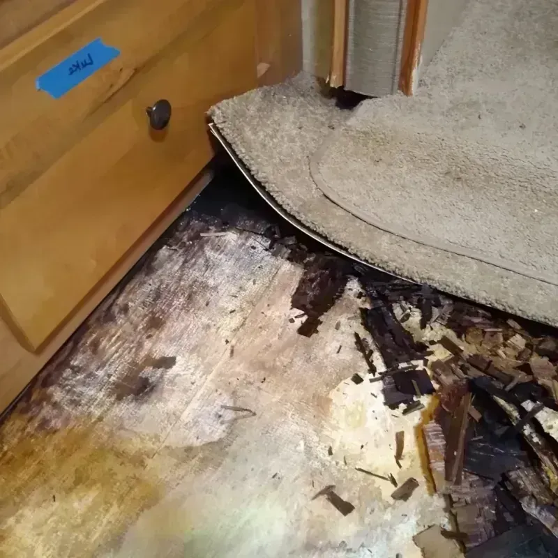 Best Wood Floor Water Damage Service in Lake Montezuma, AZ